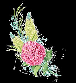 粉繡球芍藥花卉PNG透明素材