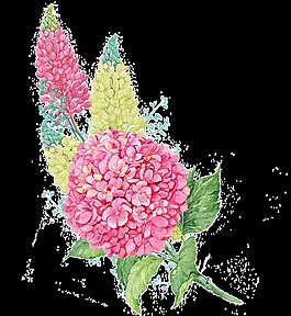 唯美粉色繡球花PNG透明素材