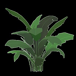 芭蕉葉植物PNG透明素材