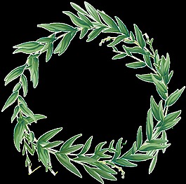 花卉植物圓圈PNG透明素材