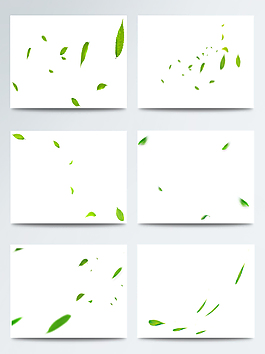 不規(guī)則形狀落葉合集