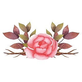 古典牡丹花花卉psd源文件