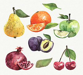 6款水彩绘水果矢量素材