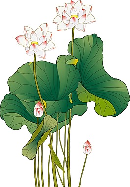 卡通粉色荷花荷葉png元素