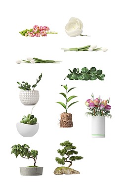 鮮花綠植盆栽png元素