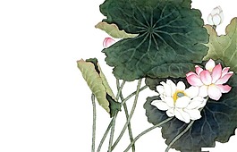 手繪水墨荷花png元素