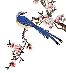 花鳥裝飾png元素