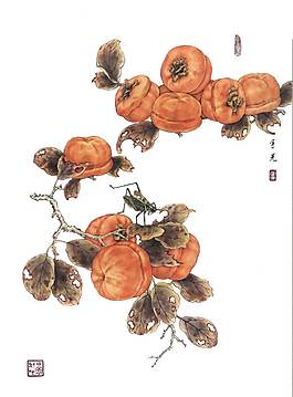 卡通中國(guó)水墨畫(huà)柿子png元素