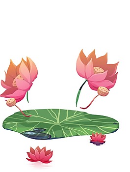 卡通動漫蓮花荷葉png元素