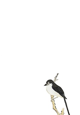 卡通水墨画鲜花小鸟png元素