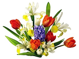 卡通鮮花植物花束png元素