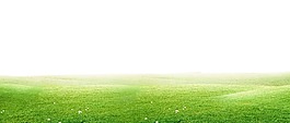 創(chuàng)意綠色草地png元素