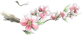 手繪粉色桃花png元素