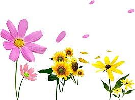 創(chuàng)意多彩花朵png元素