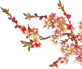 紅色創(chuàng)意花朵png元素