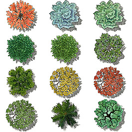 清新時尚植物插畫