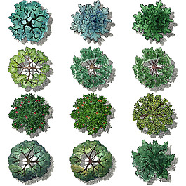 手繪綠色時(shí)尚植物插畫