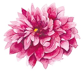粉色手繪花朵png元素