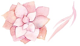粉色鮮花花朵png元素