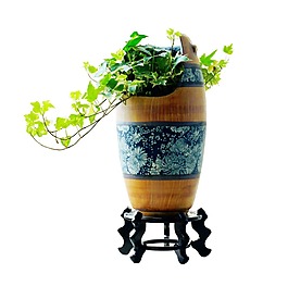 綠色盆景盆栽png元素