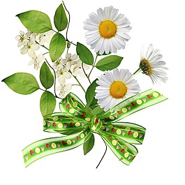 卡通白色太陽花花束png元素