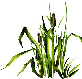 卡通綠葉植物png元素