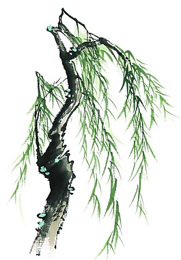 中國(guó)水墨畫柳樹png元素