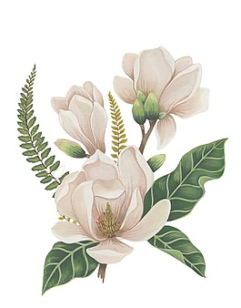 白色鲜花花朵绿叶png元素