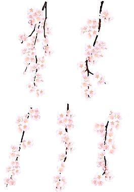 粉色桃花裝飾png元素
