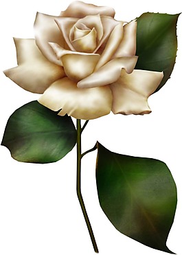 卡通白色花朵綠葉png元素