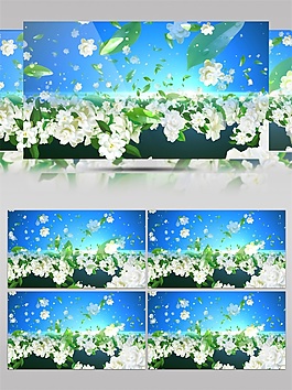 白色光花视频素材