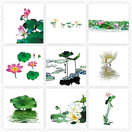 清新荷花素材合集PNG