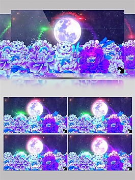 紫色花朵视频素材