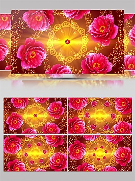 富貴光花視頻素材