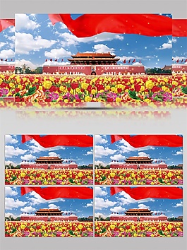 天安門花盆視頻素材