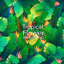 熱帶植物元素EPS背景