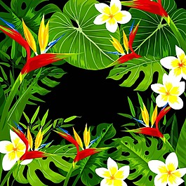 熱帶植物元素背景設計