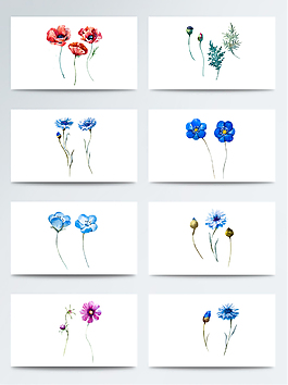 水彩精美鮮花免扣素材合集