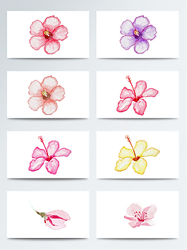 水彩精美花朵免扣素材合集