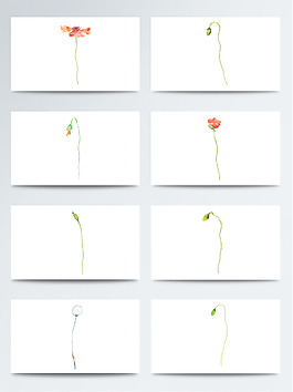 手繪美麗鮮花免扣素材合集