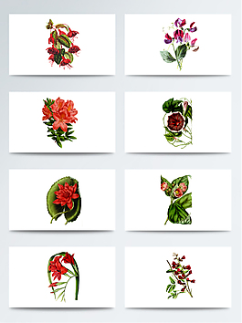 手繪紅色鮮花免扣素材合集