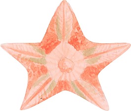 卡通粉色海星png元素