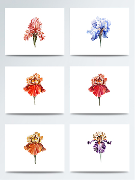 水彩逼真鮮花png素材合集