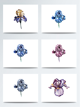 水彩精美鮮花png素材合集