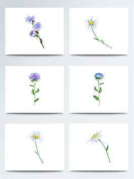 水彩藍色鮮花png素材合集
