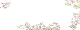 卡通白色鮮花花朵png元素