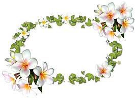 卡通白色鮮花綠葉圓環(huán)png元素