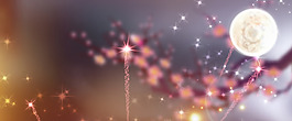 正月十五元宵节烟花banner