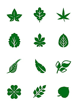 手绘简约绿色叶子绿植植物图标元素