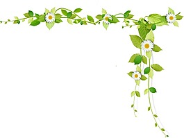 創(chuàng)意綠藤裝飾png元素